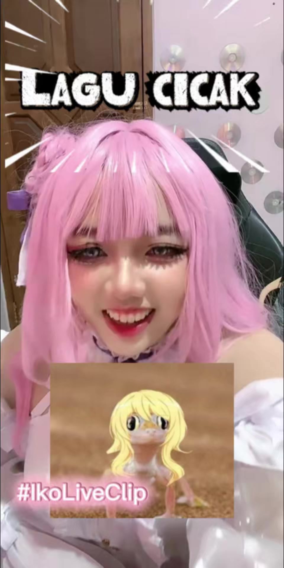 @Ikota Nyan