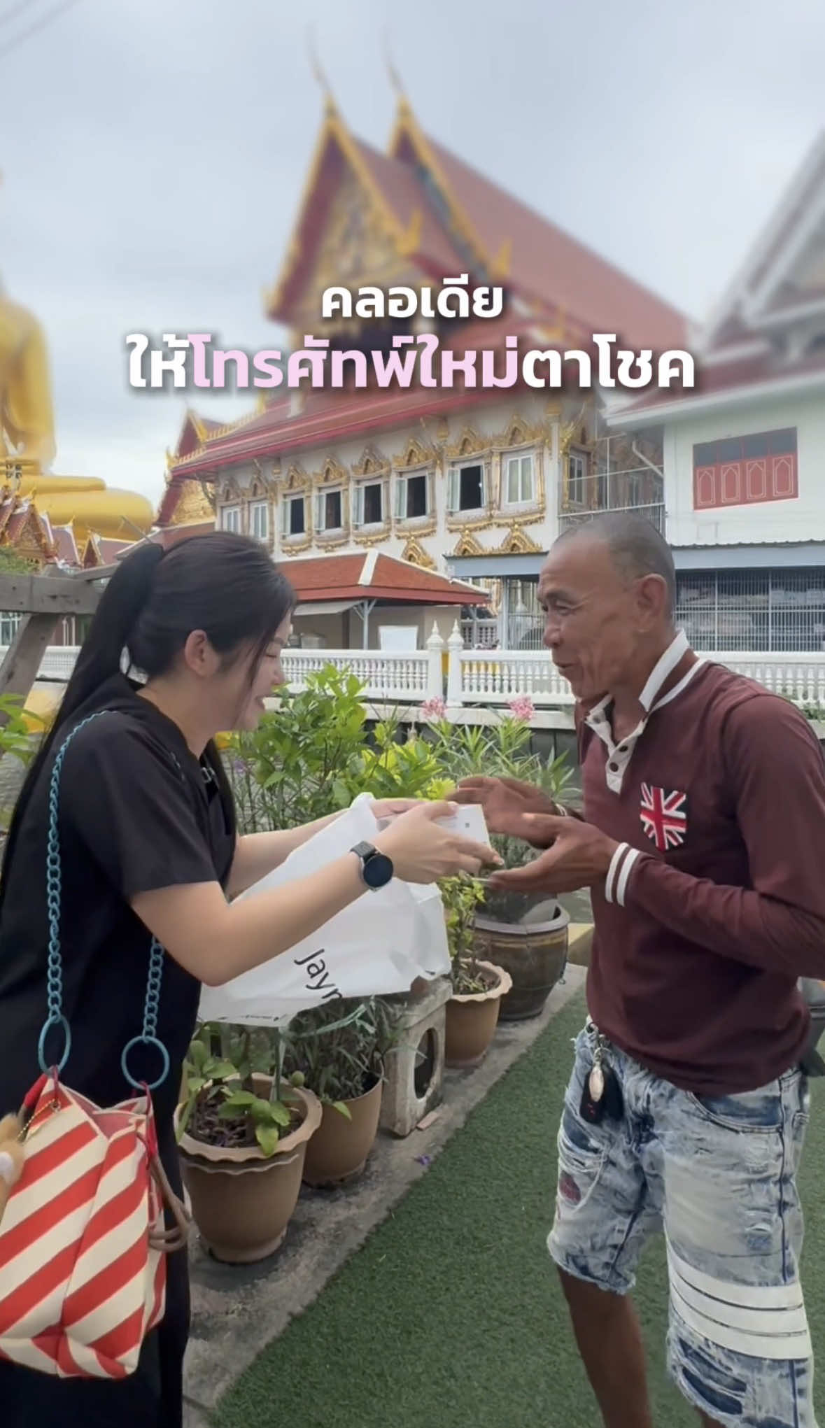 @คอลมีคลอเดีย