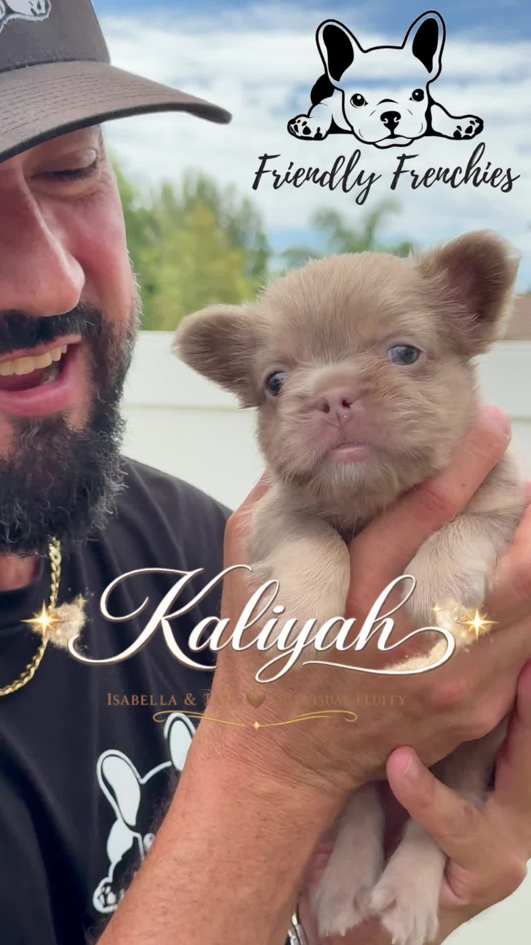 @FriendlyFrenchiesOC