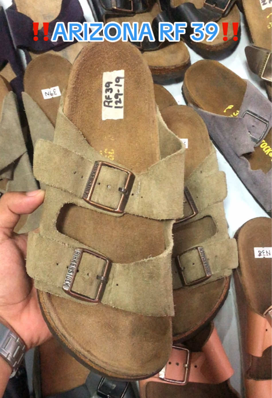 @DAILY BIRKS