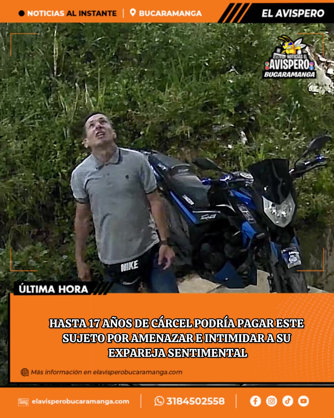 @avisperobucaramanga