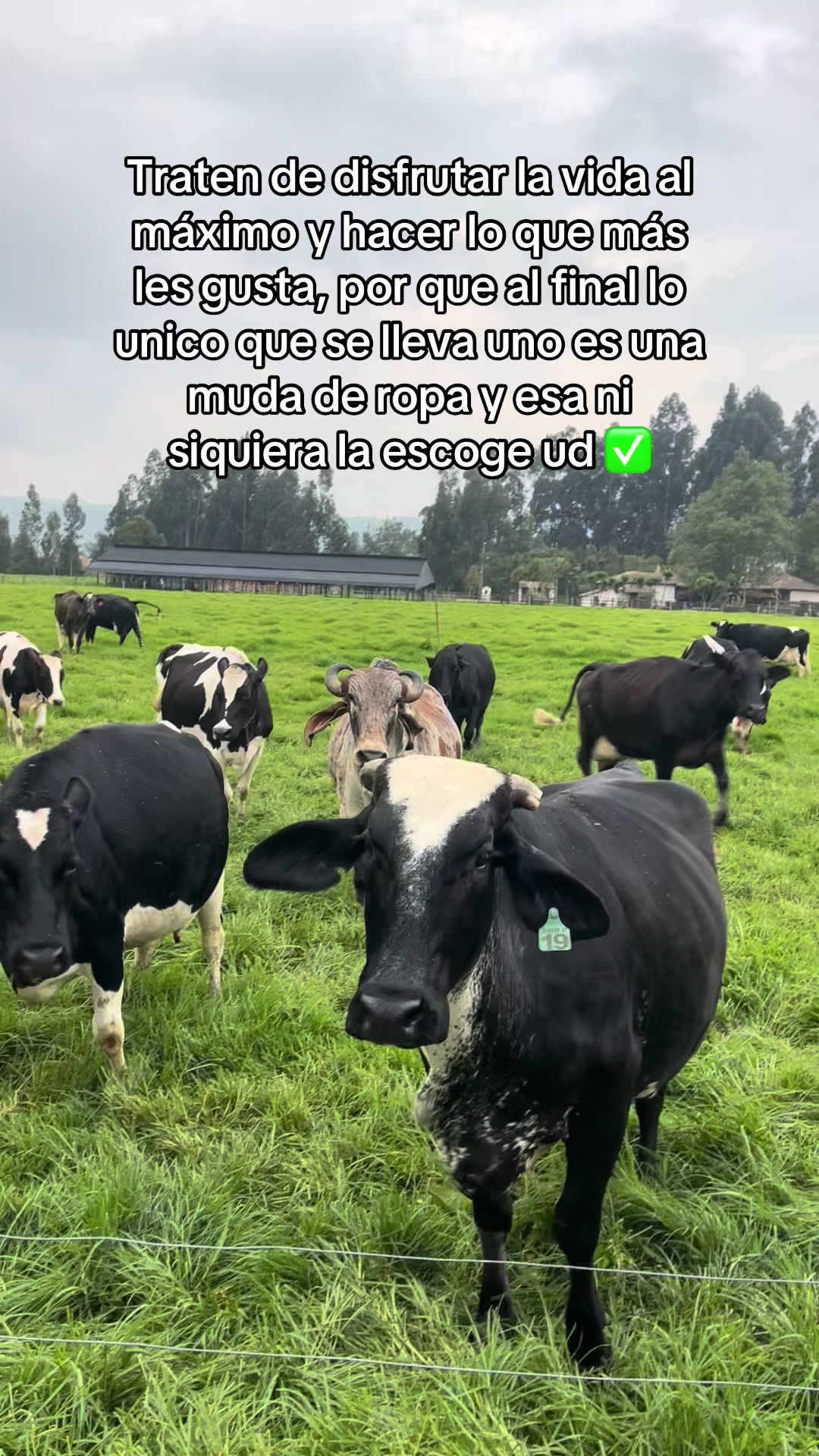 @Juan Rodríguez 🐄