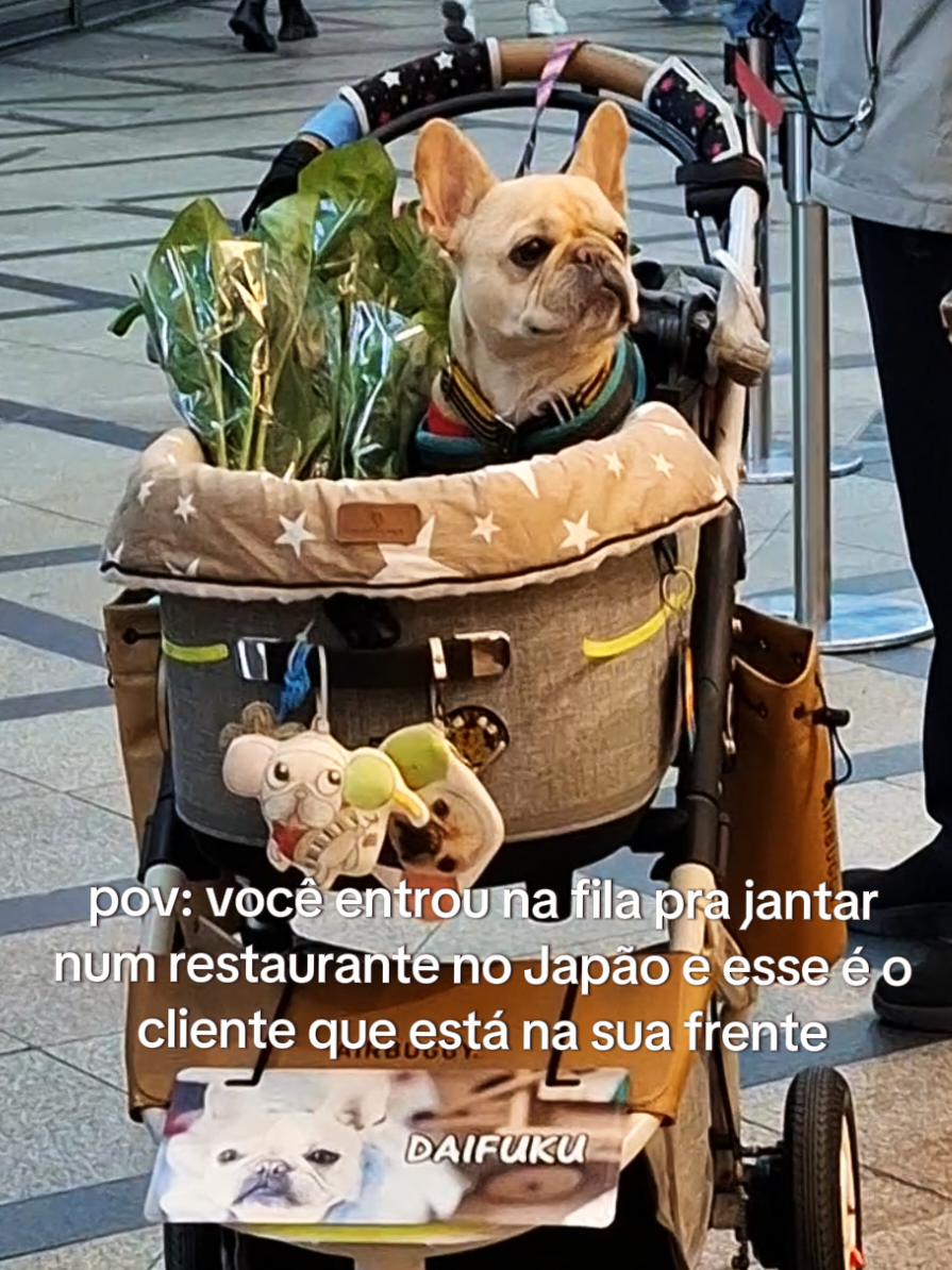 @Bruna Robaina