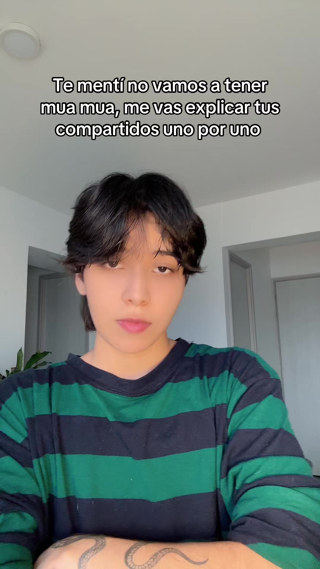 @shiropapi