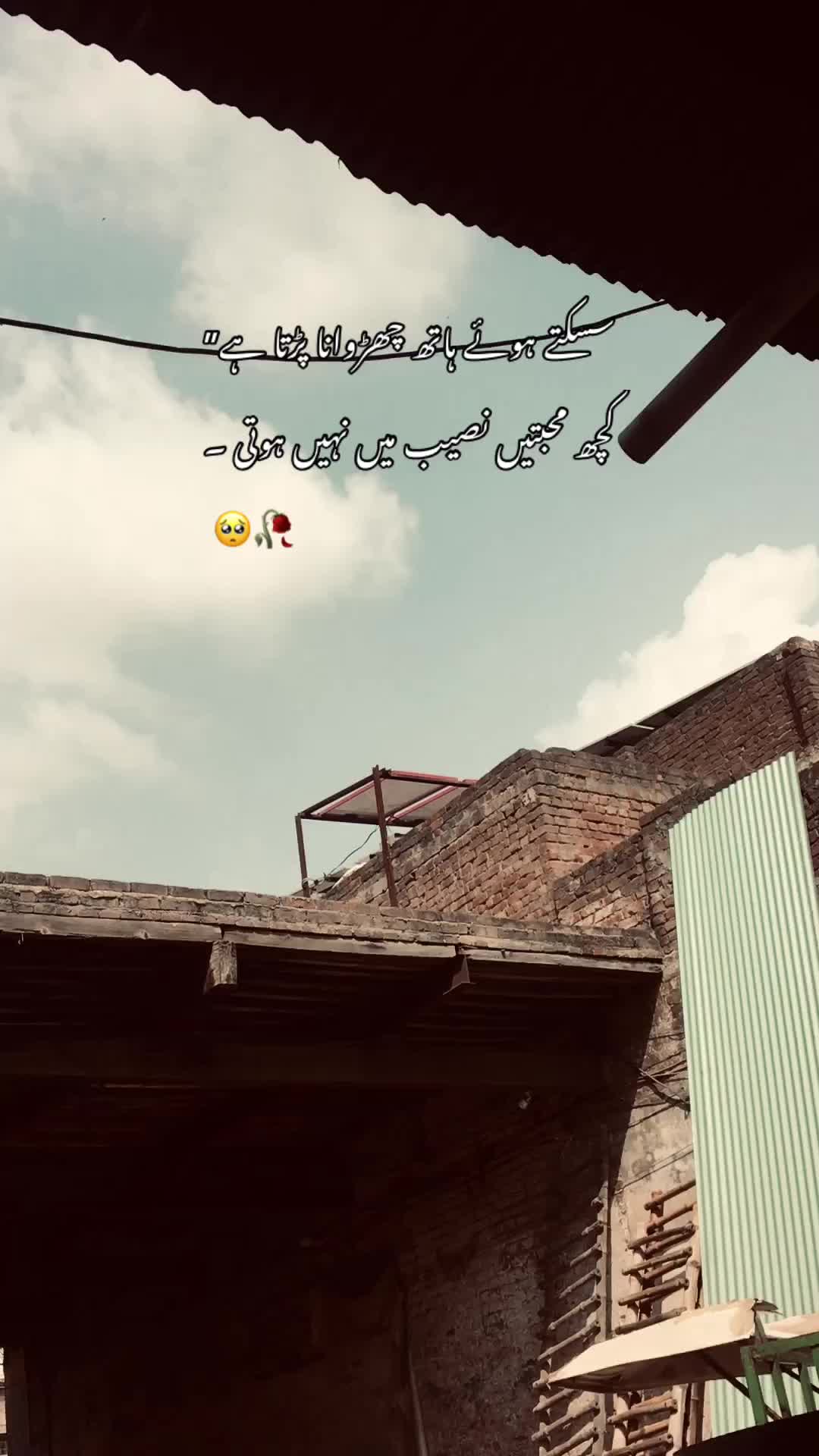 @>پاگل ہو <🦋