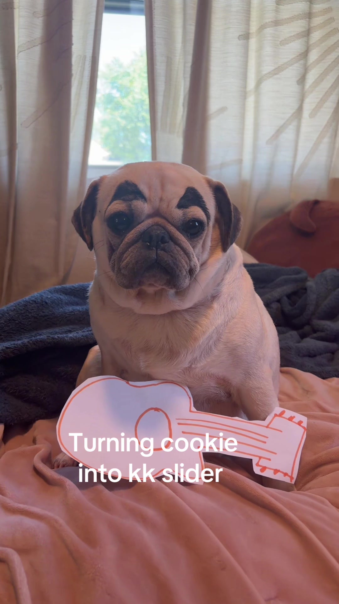 @babycookie