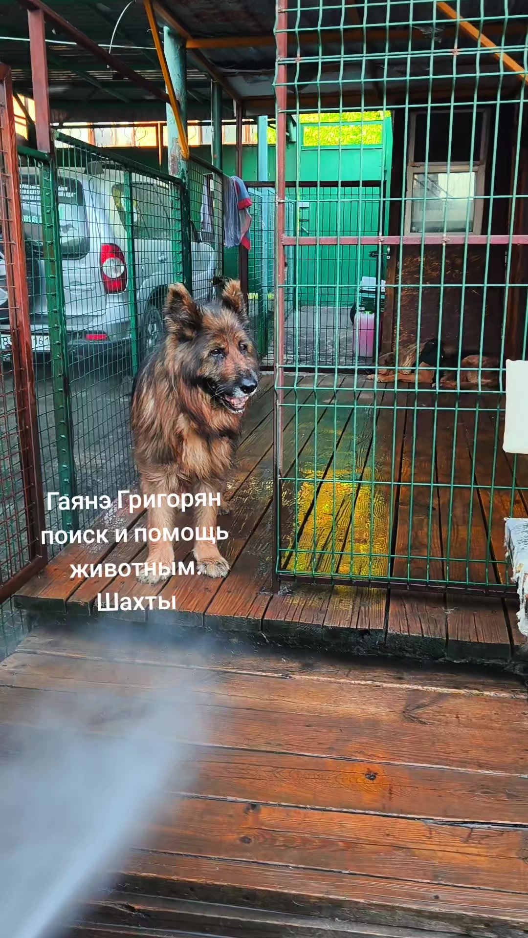 @Гаянэ Григорян