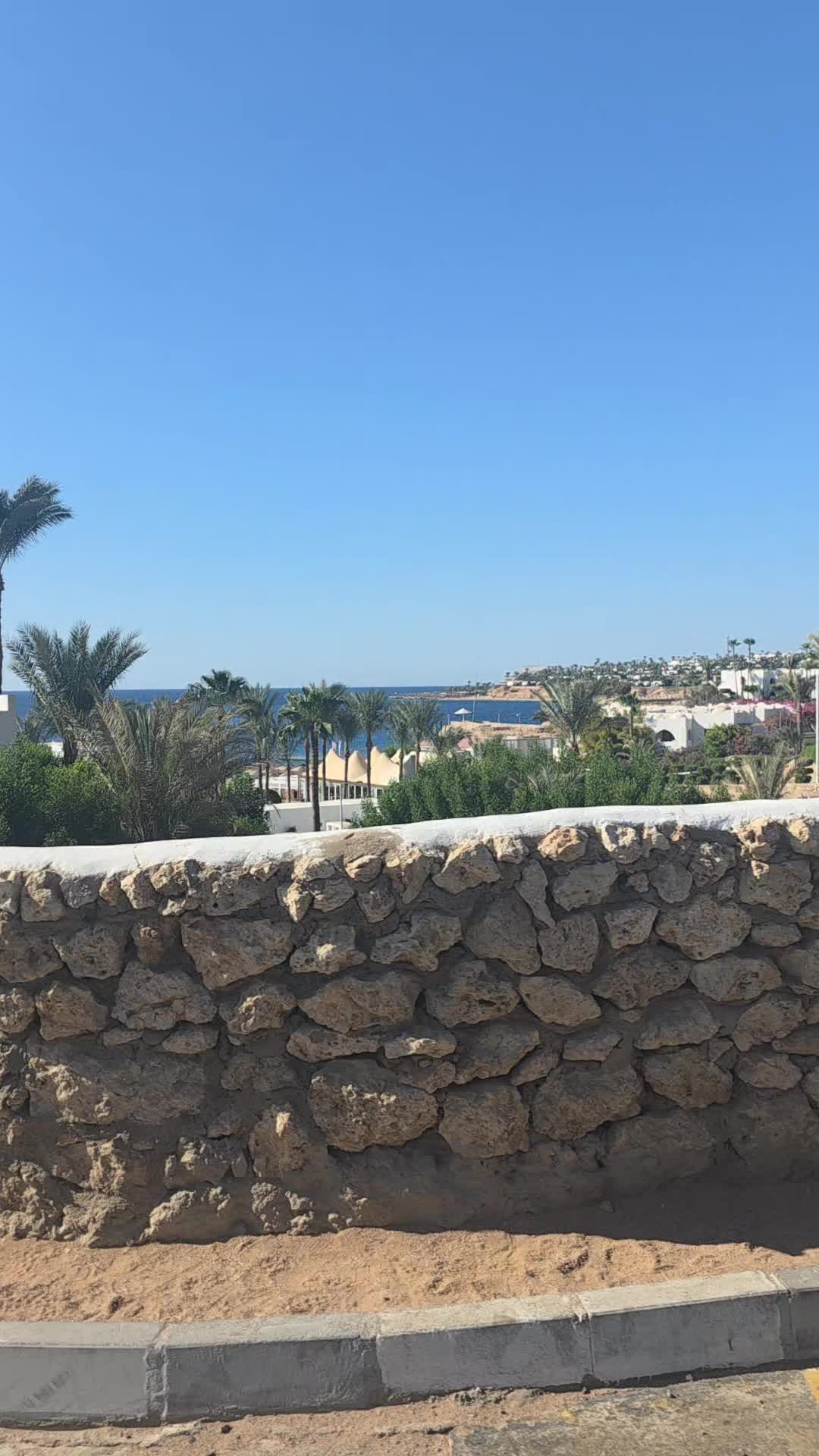 @𝑺𝒐𝒇𝒉𝒊𝒂