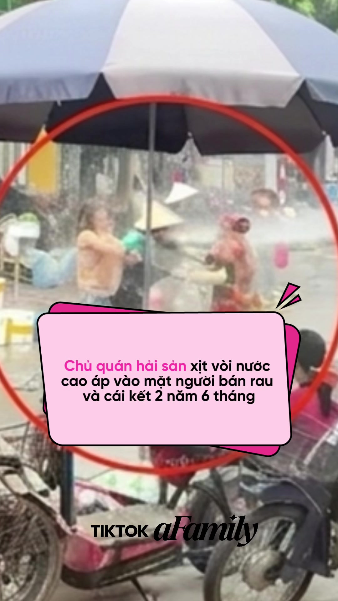 @aFamily Ngay L&uacute;c N&agrave;y