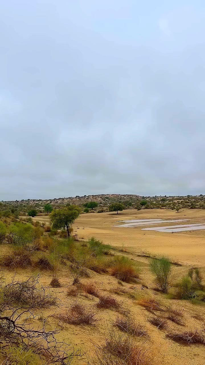 @ابوبکر🌸