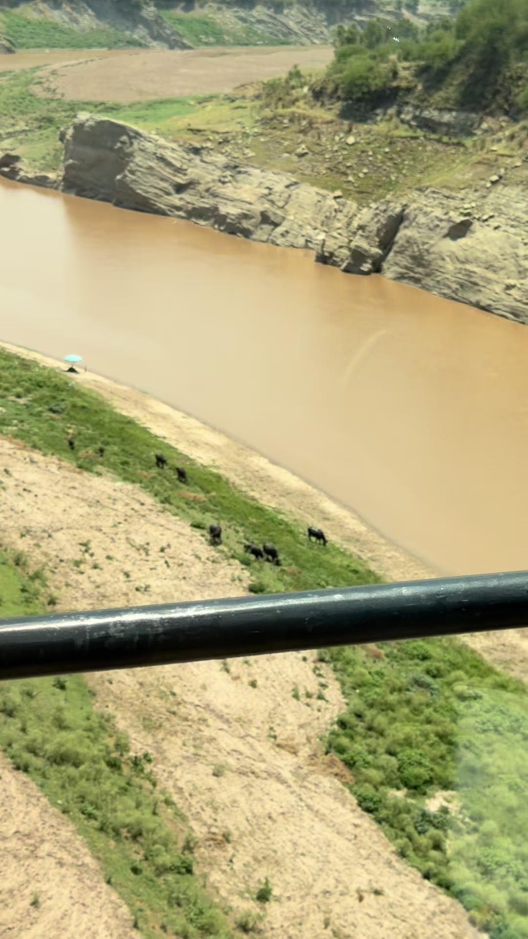 @shazia anzar