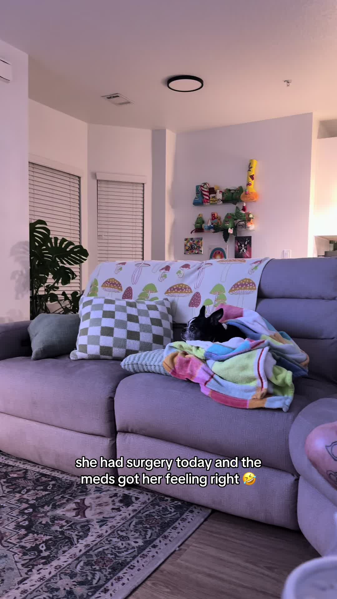 @lylu