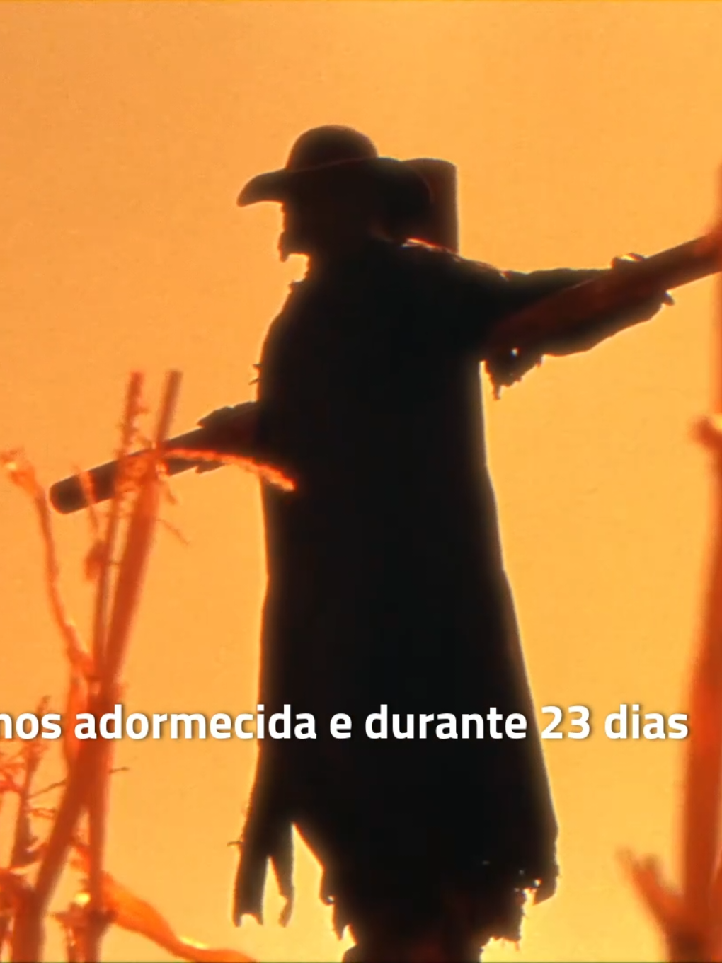 @Cinedetalhes
