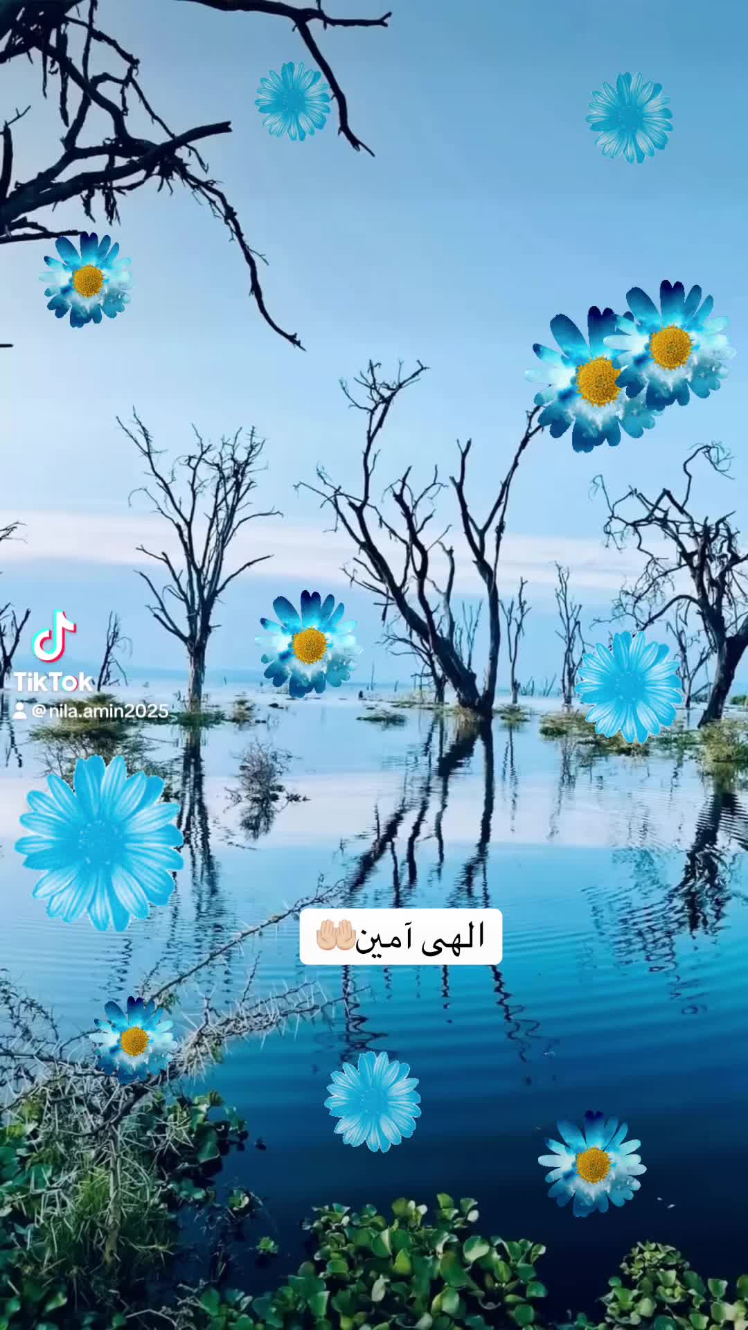 @Nila/نیلا