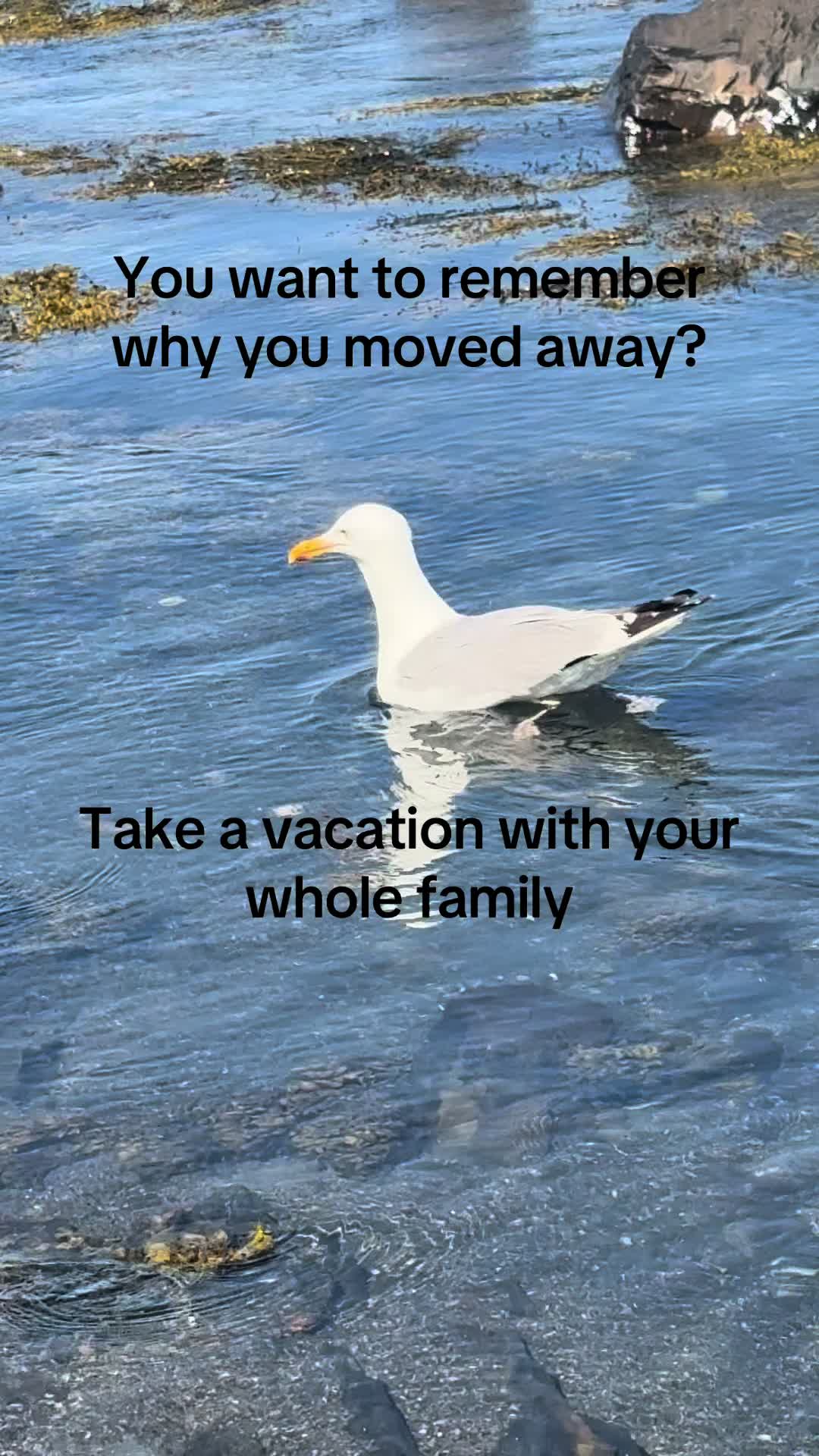 @onmywaytobeinghealthy