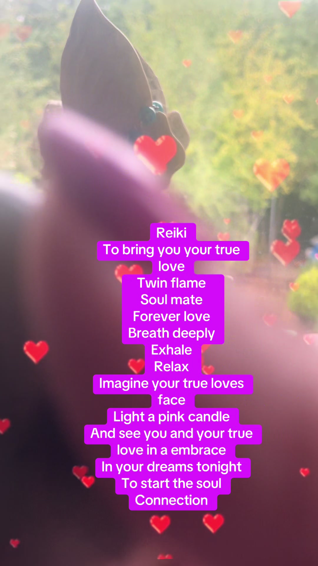 @zoo
