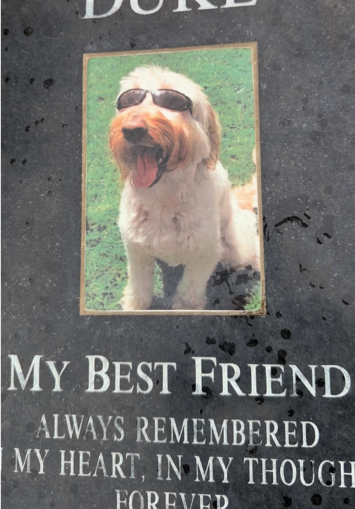 @The Morbid Traveler&rsquo;s Wife👻💕