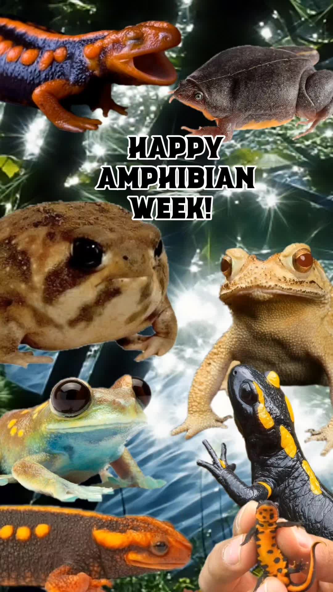 @frogs and autism