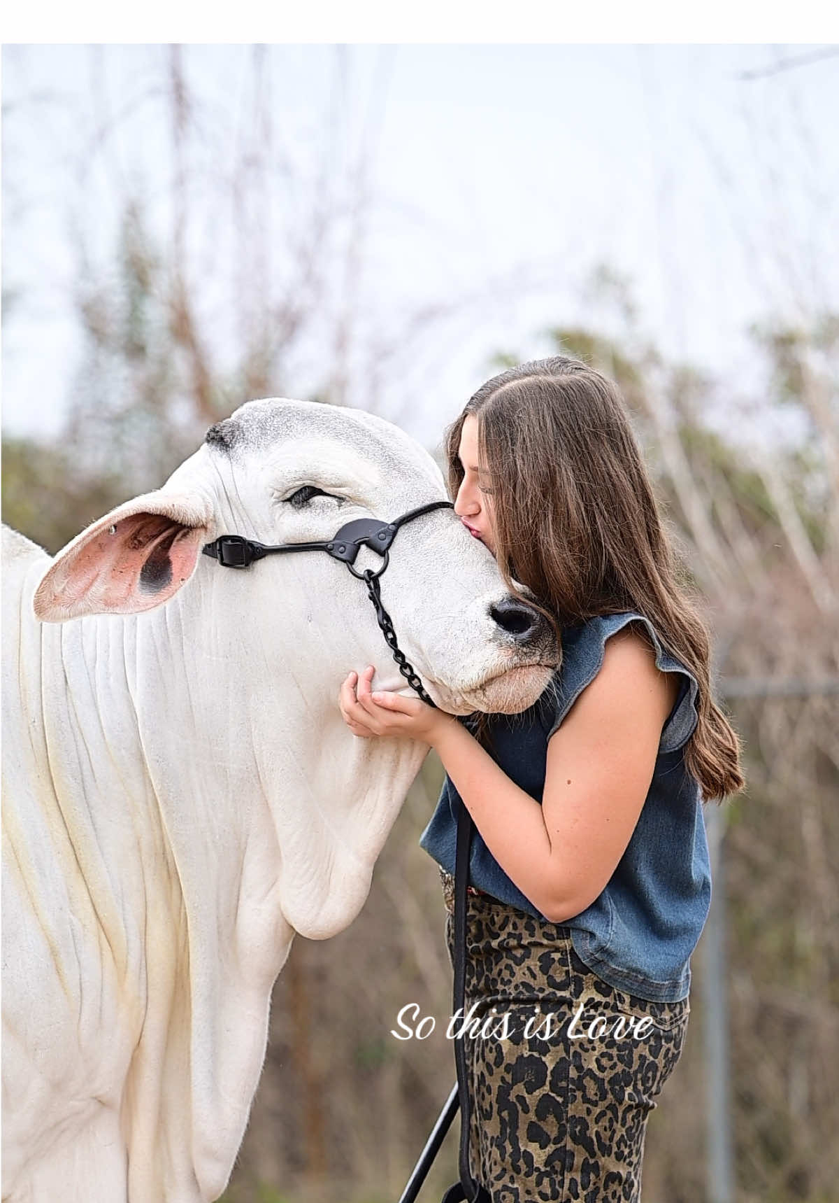 @England Cattle Co.