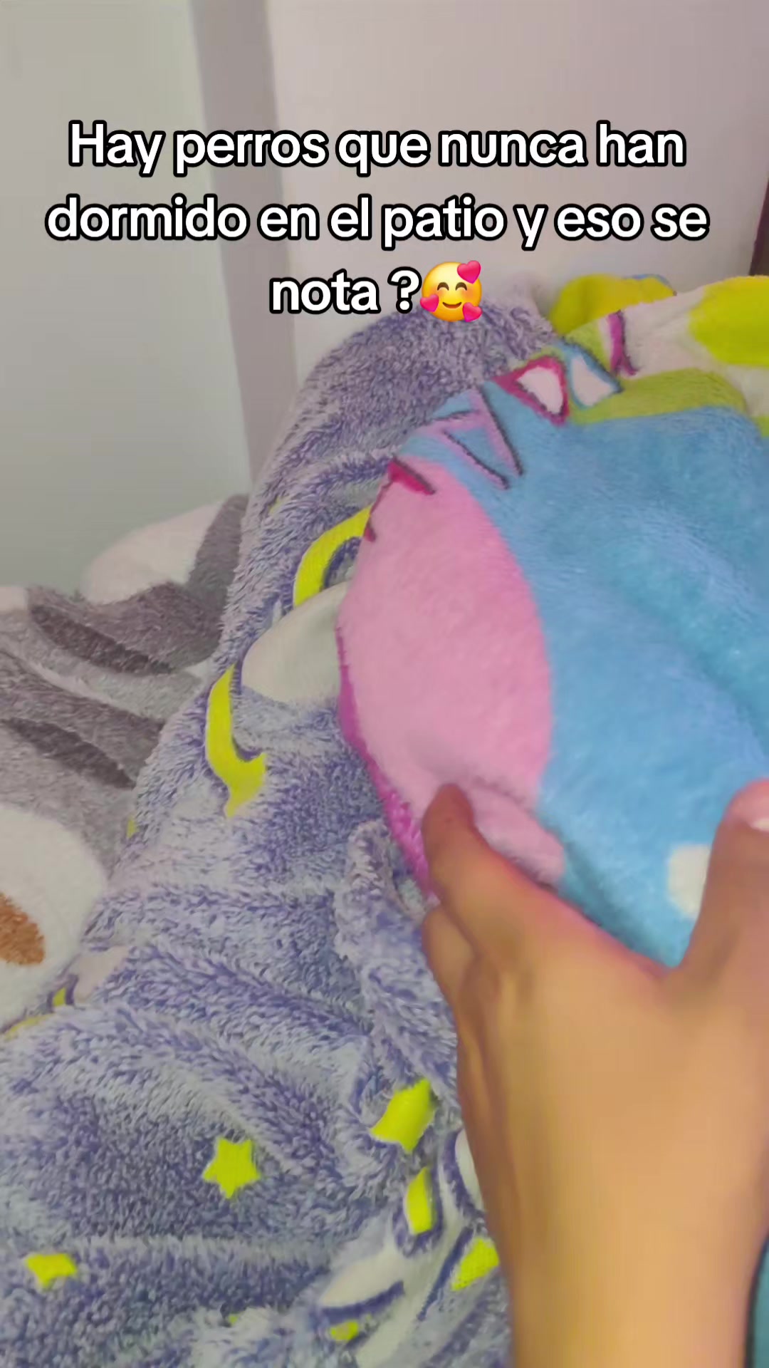 @Aleja🦋