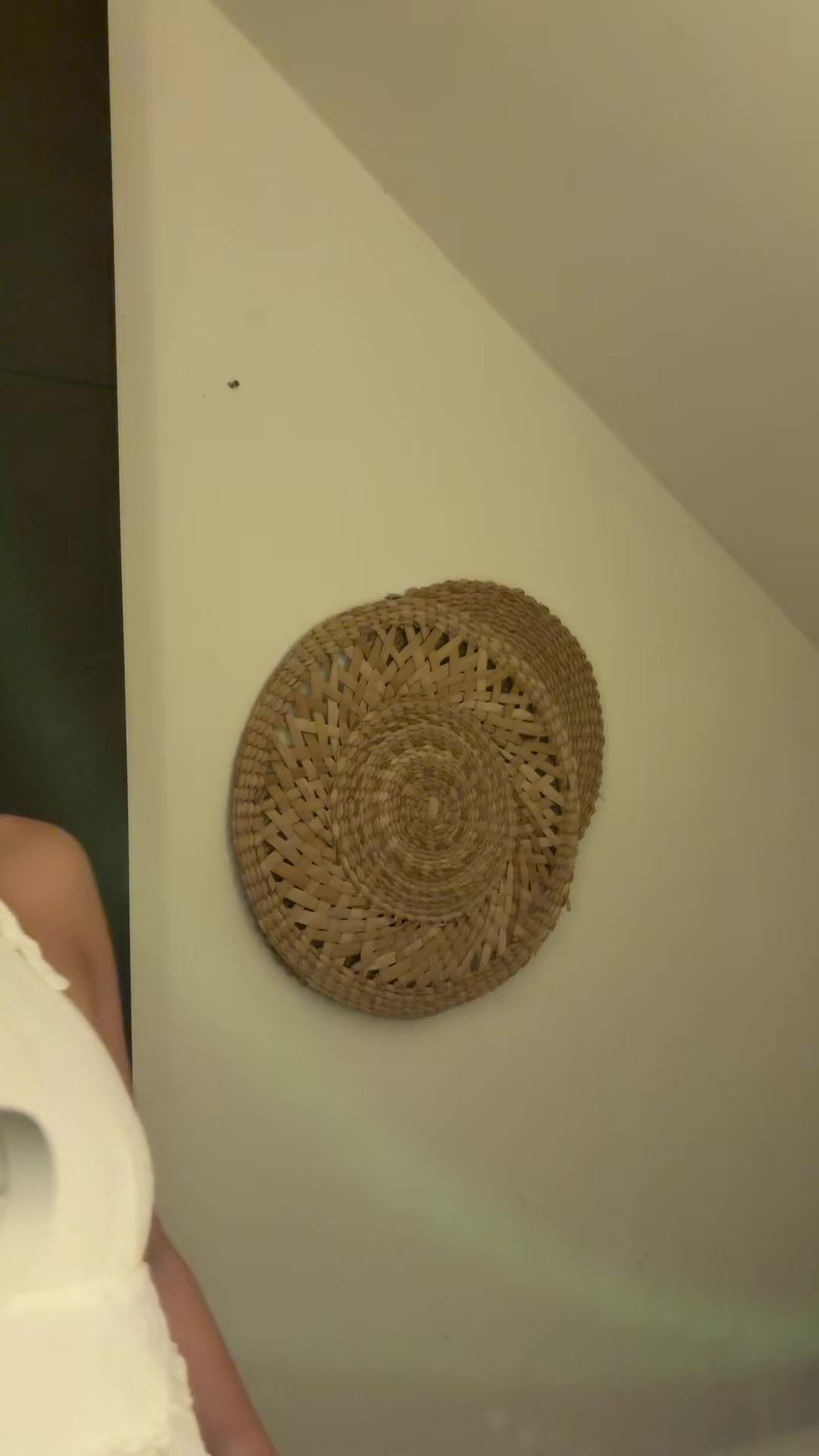 @Camilita