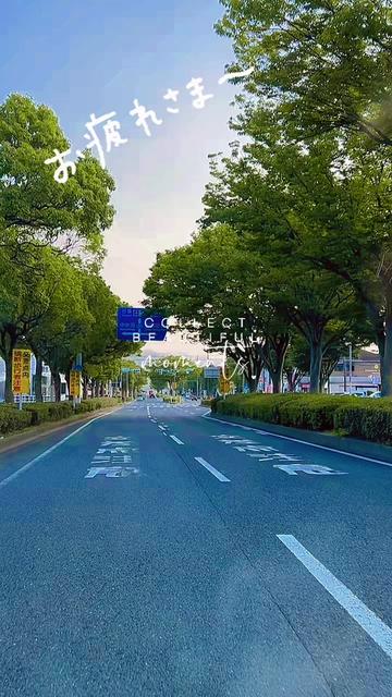 @🌴🌺 💗ᗰIYOᑭOᑎ💗🌺🌴