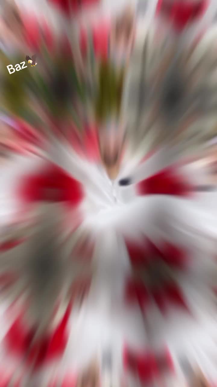 @‼️Spëëñ_Baz‼️⁶⁶⁶🎀
