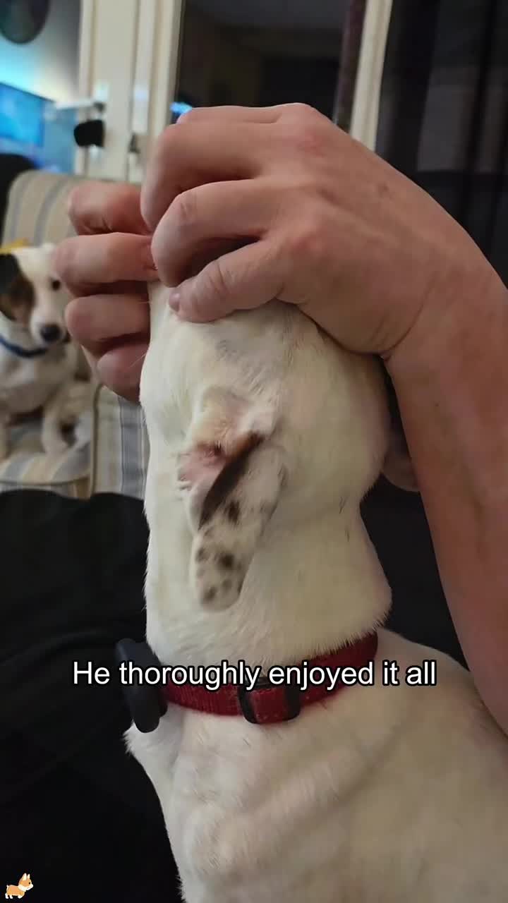 @SneakyFails