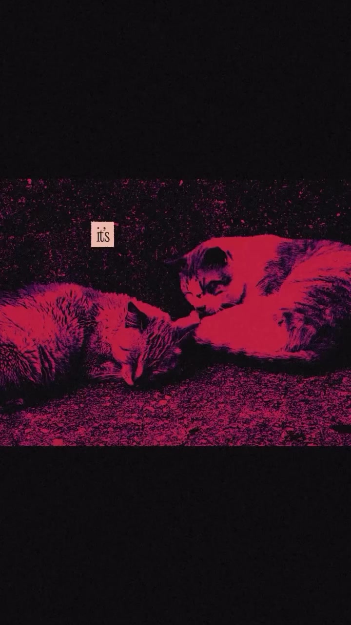 @self