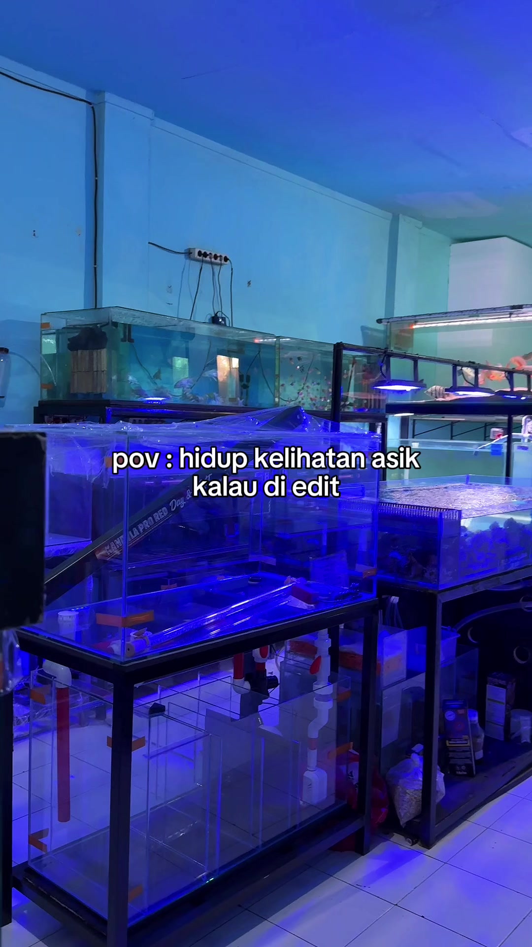 @Aquatic Garage Bekasi