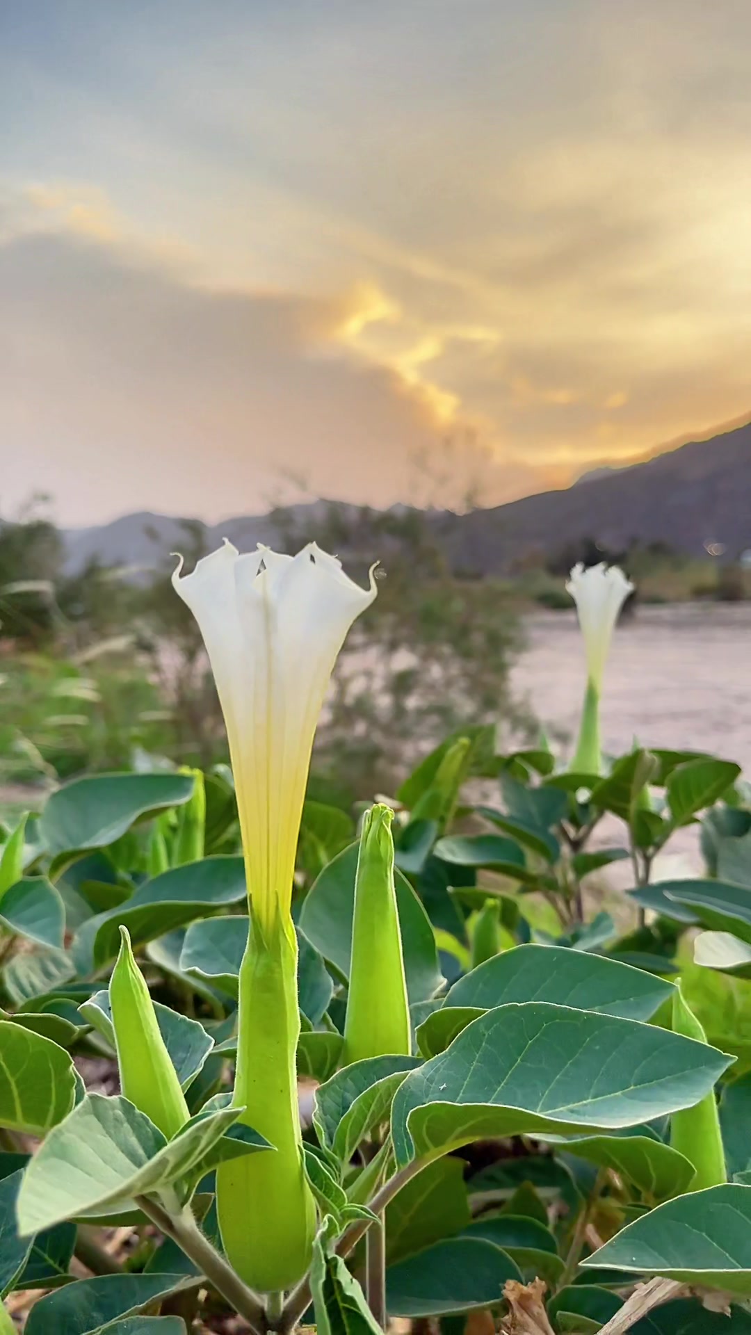 @رِجْم 📸