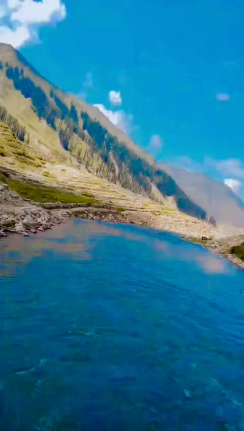 @Rashid khan