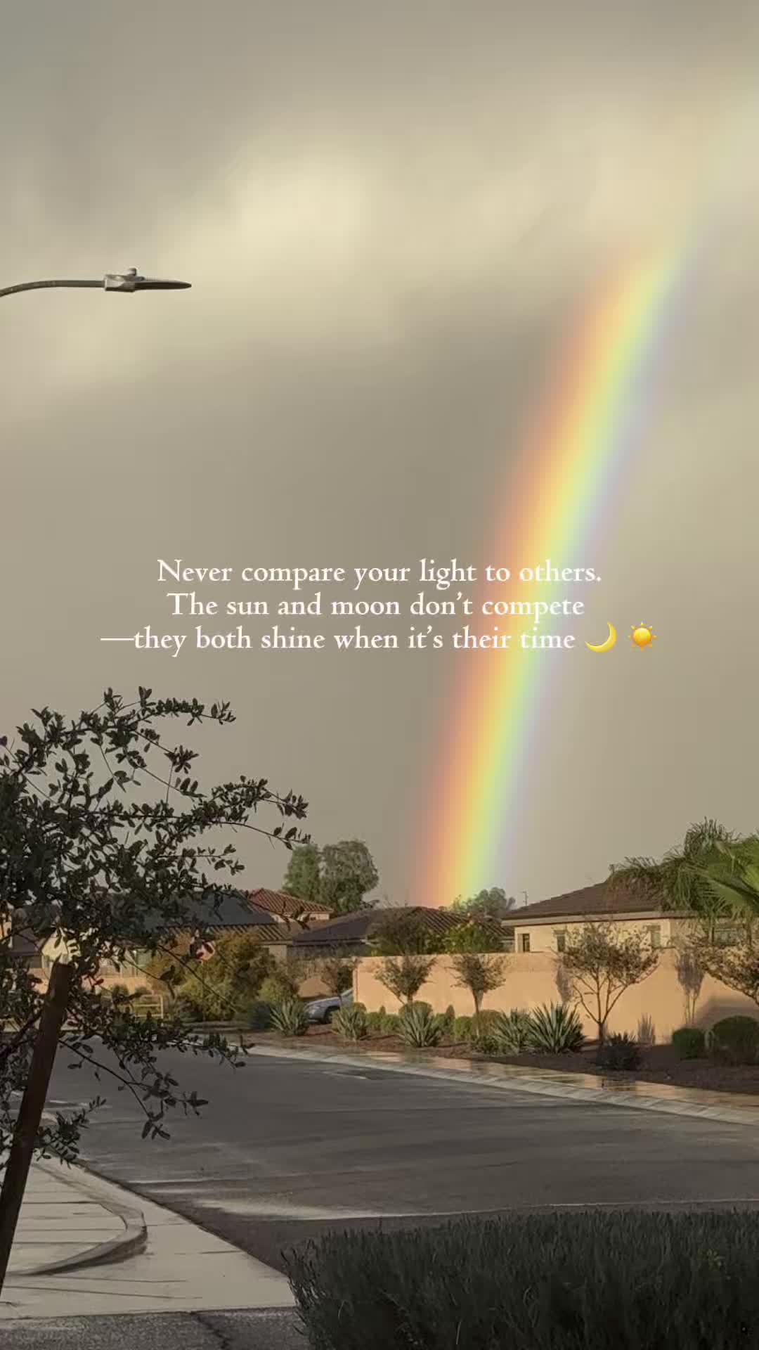 @Lilys_lovely_adventures