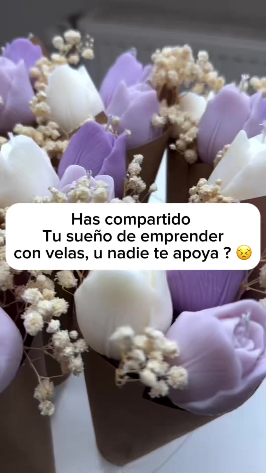 @VELAS Y VELAS
