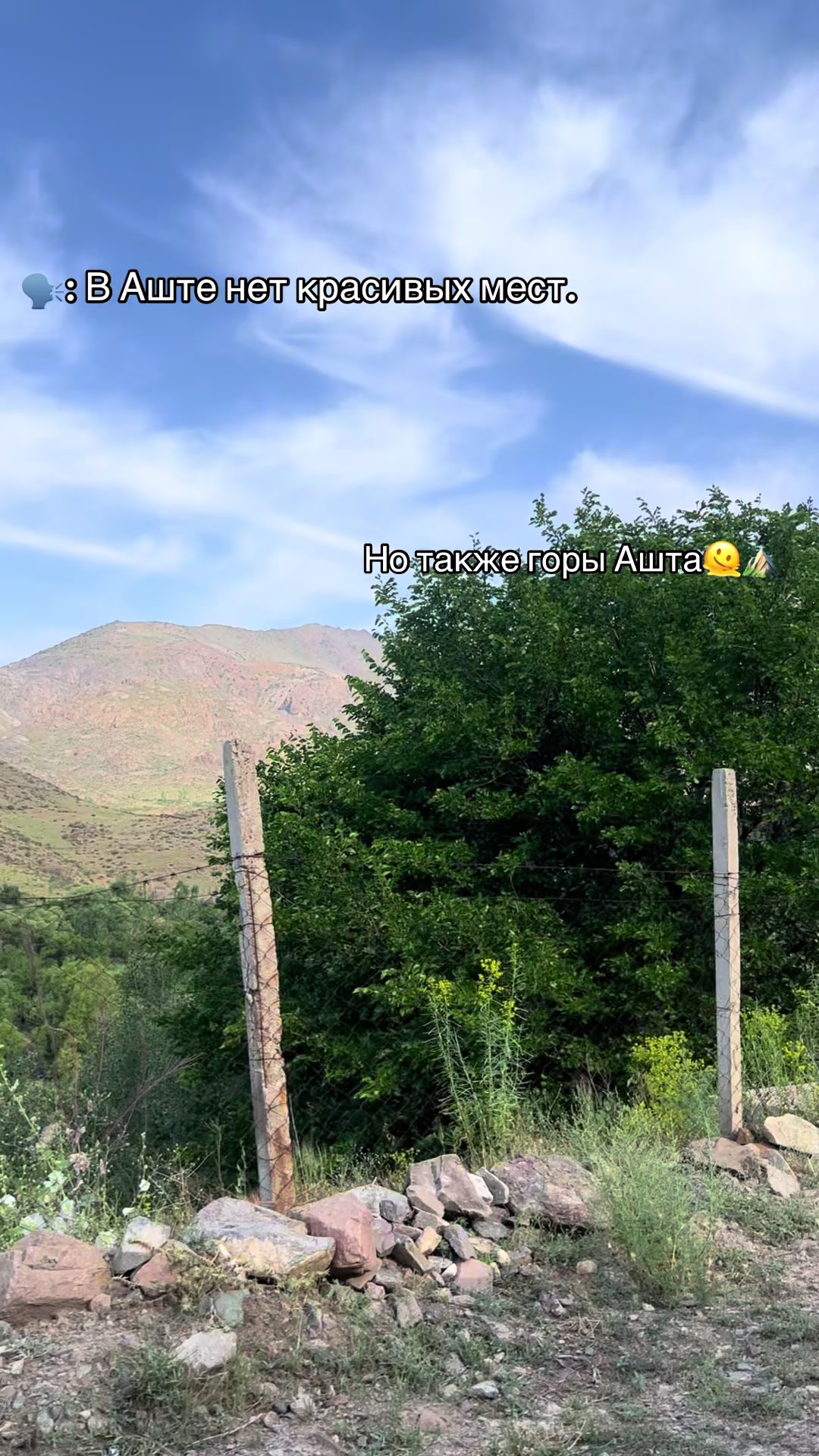 @𝑷𝒆𝒓𝒔🇹🇯