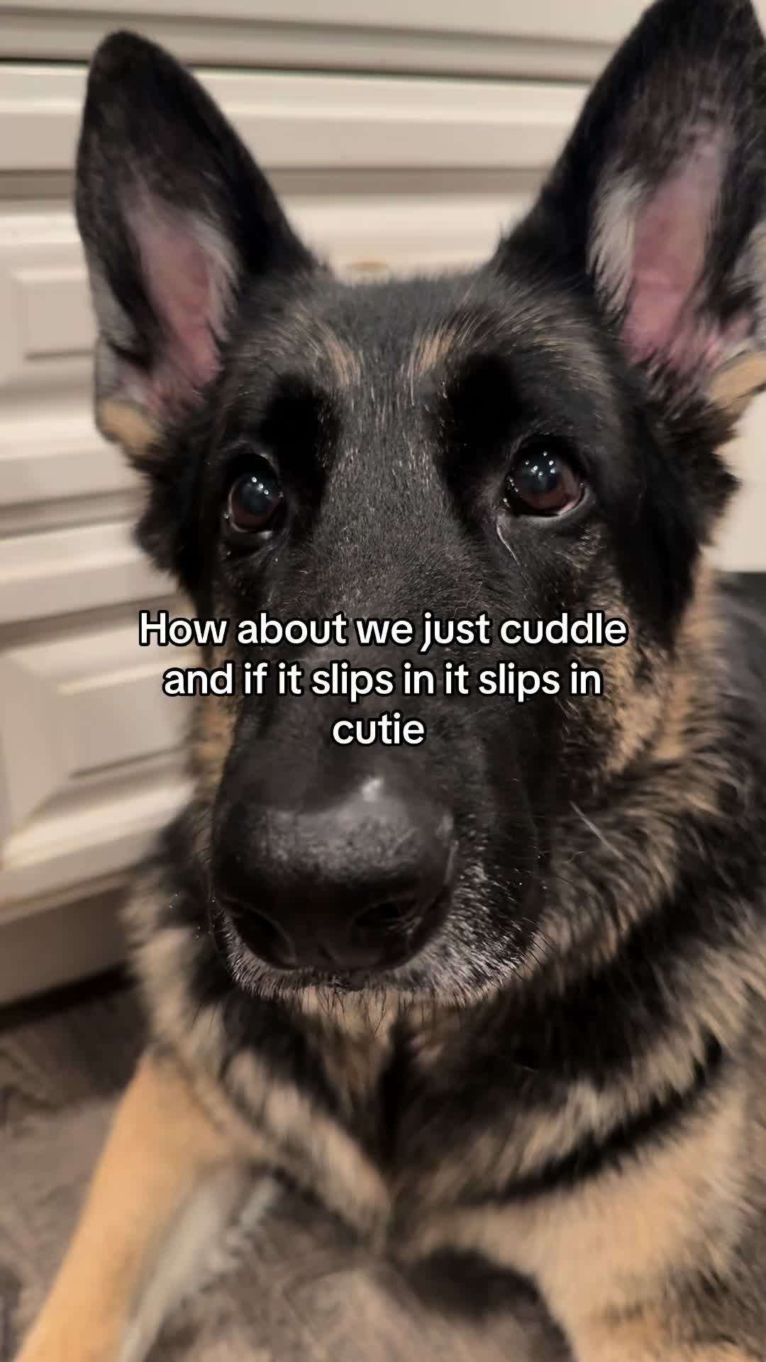 @Bhris