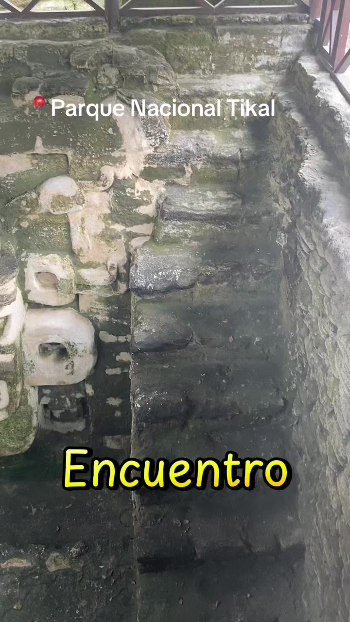 @Tony Tour&rsquo;s Pet&eacute;n_Guia_Local