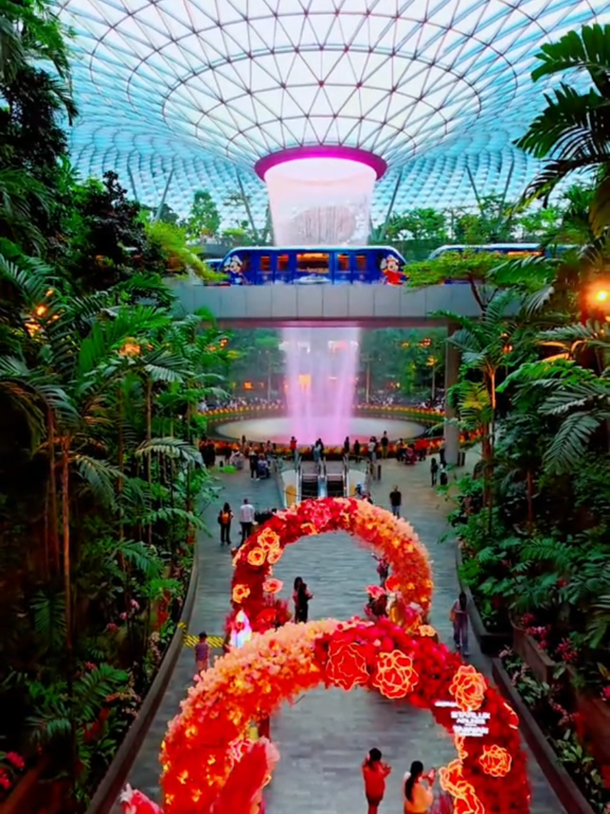 @Adel Singapore