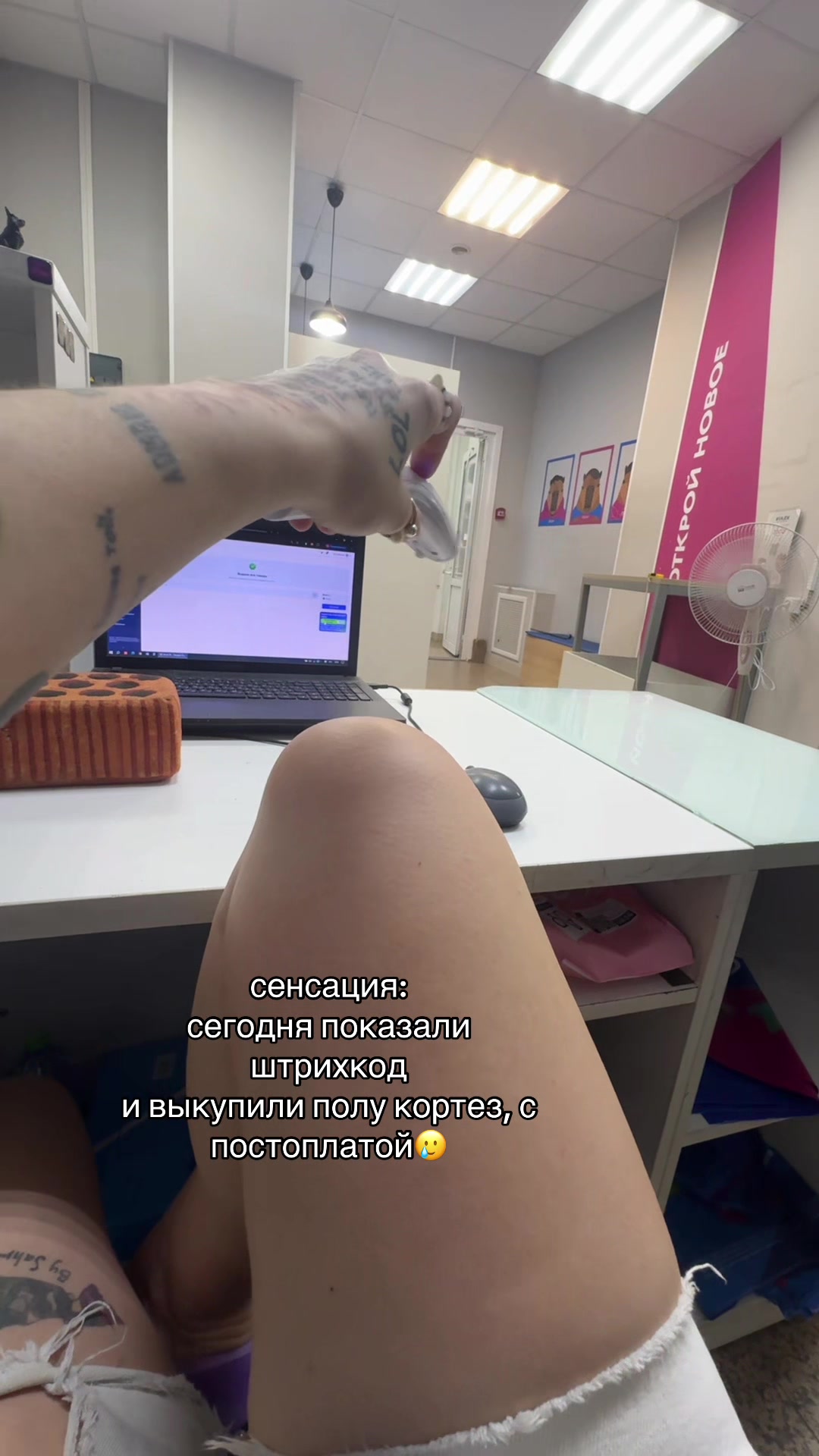 @PolinaCortez