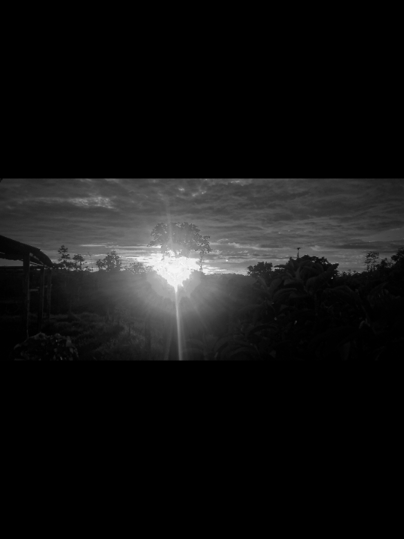 @Luna Zambrano,G