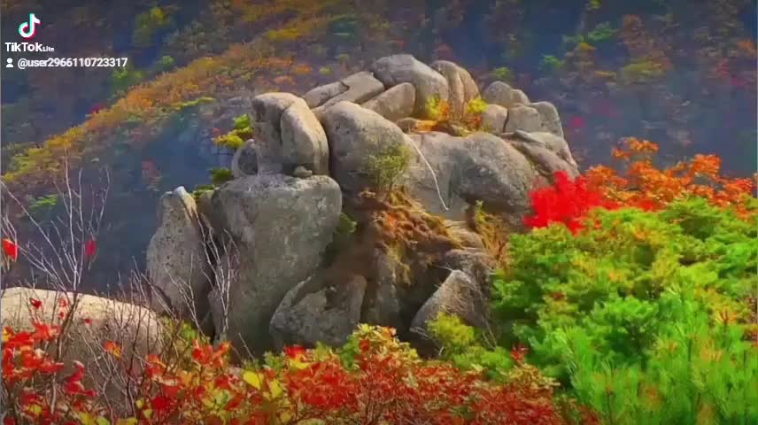 @(주)아남테크원