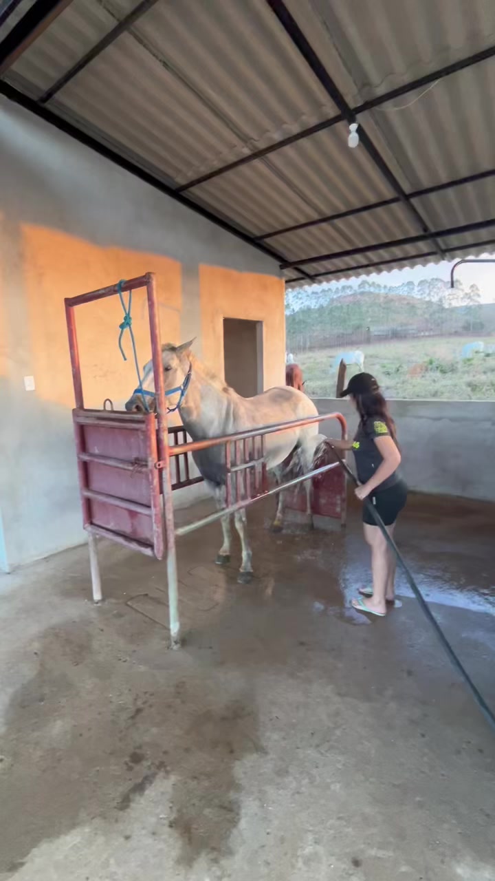 @Tais Barbara Gangá