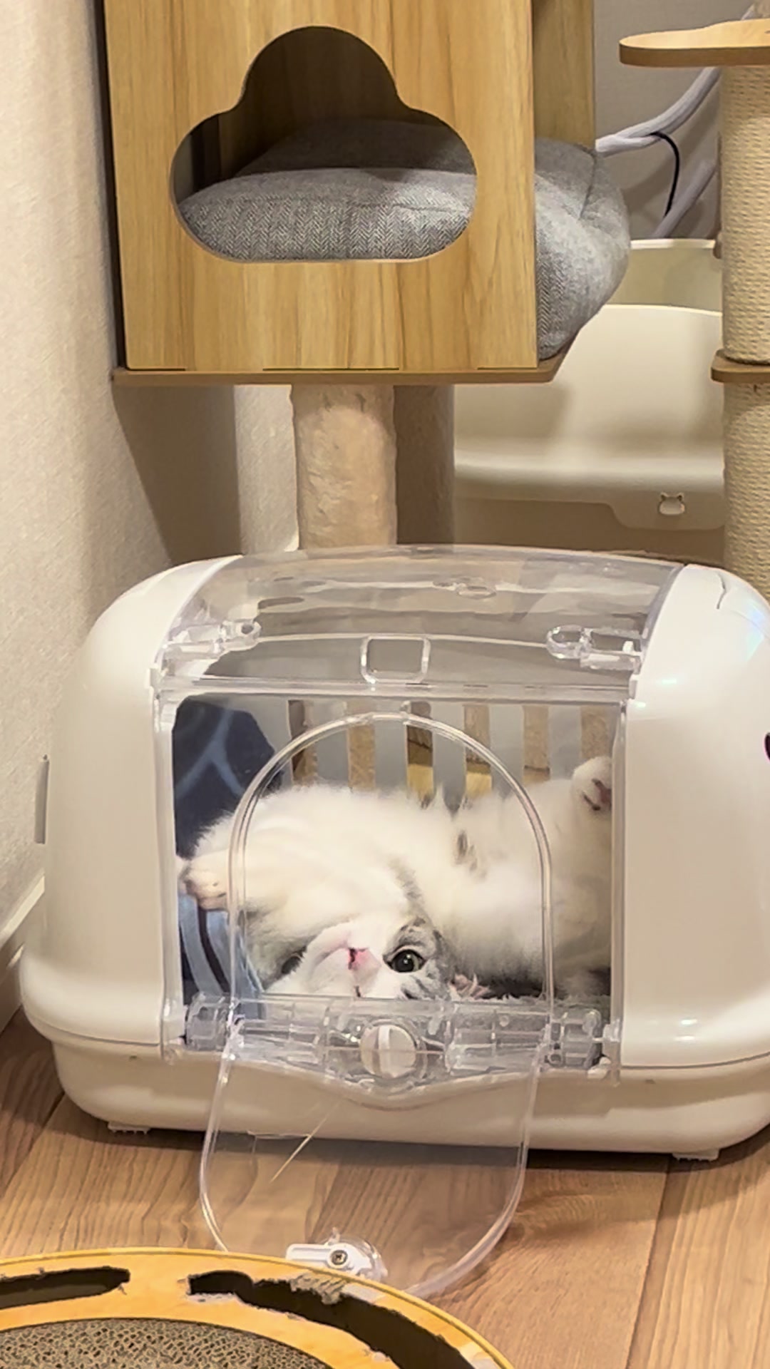 @短足マンチのえる♂