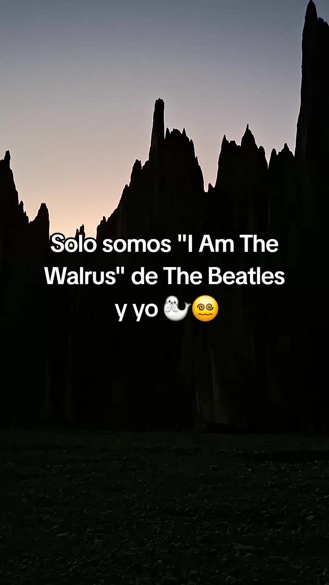 @Solo somos "..." y yo
