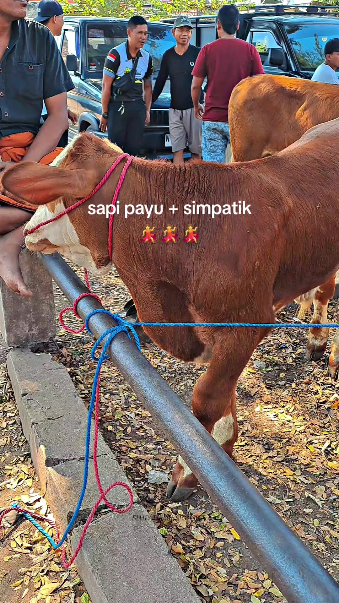 @SARJANA LEMBU☆