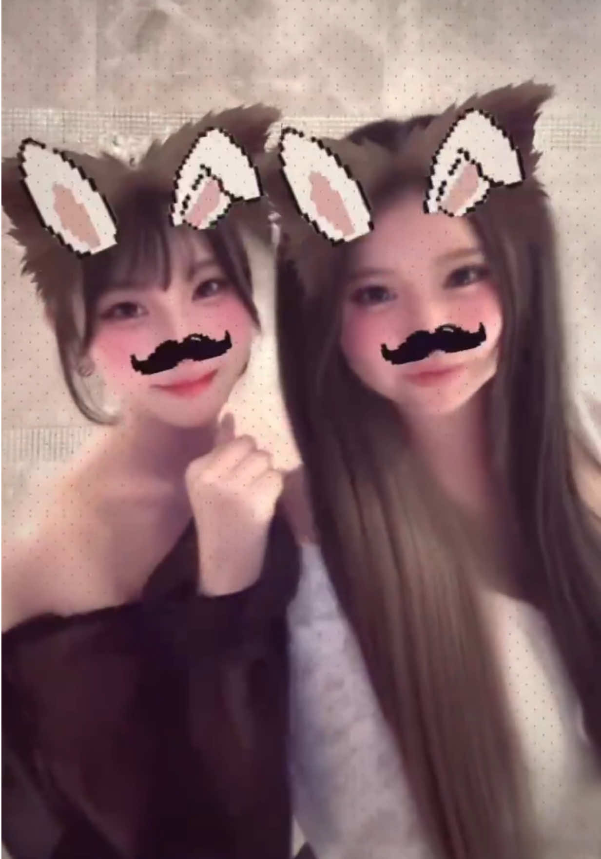 @kokona.0531