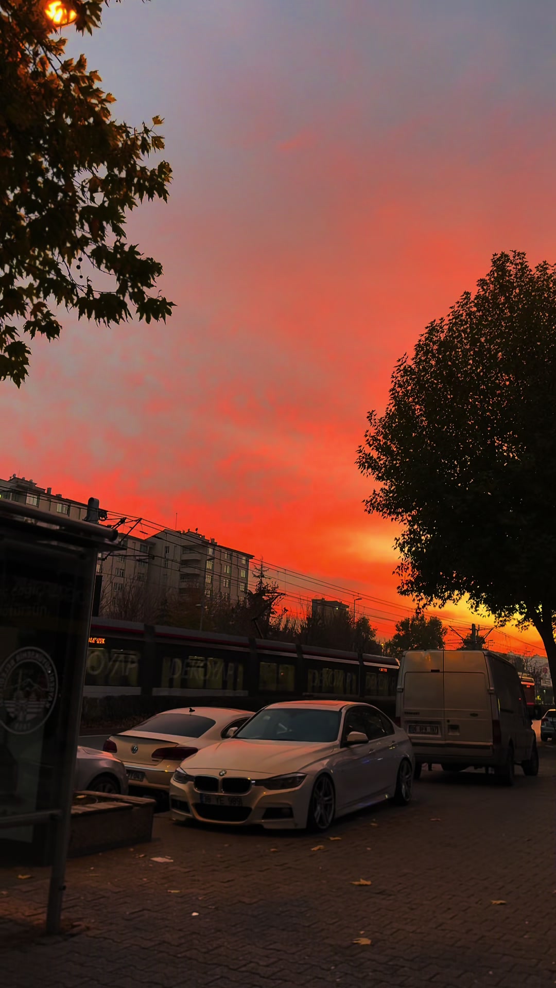 @𝓜𝓾𝓼𝓽𝓪𝓯𝓪 𝓐𝓵𝓪𝓴