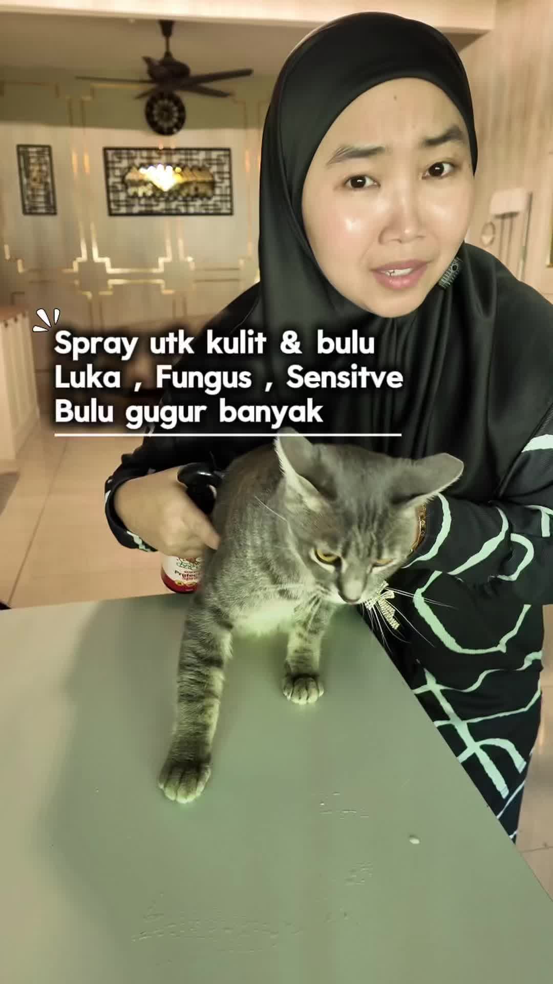 @Eibu Ainee | Cat Mom