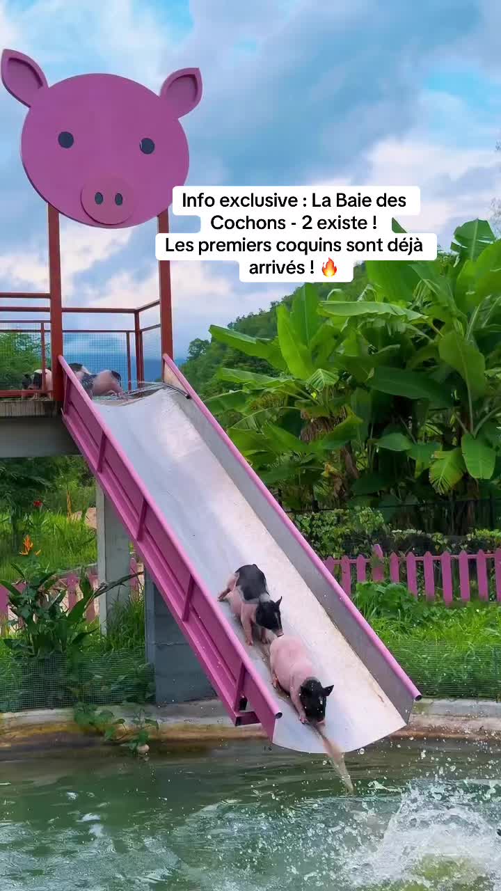 @artania_