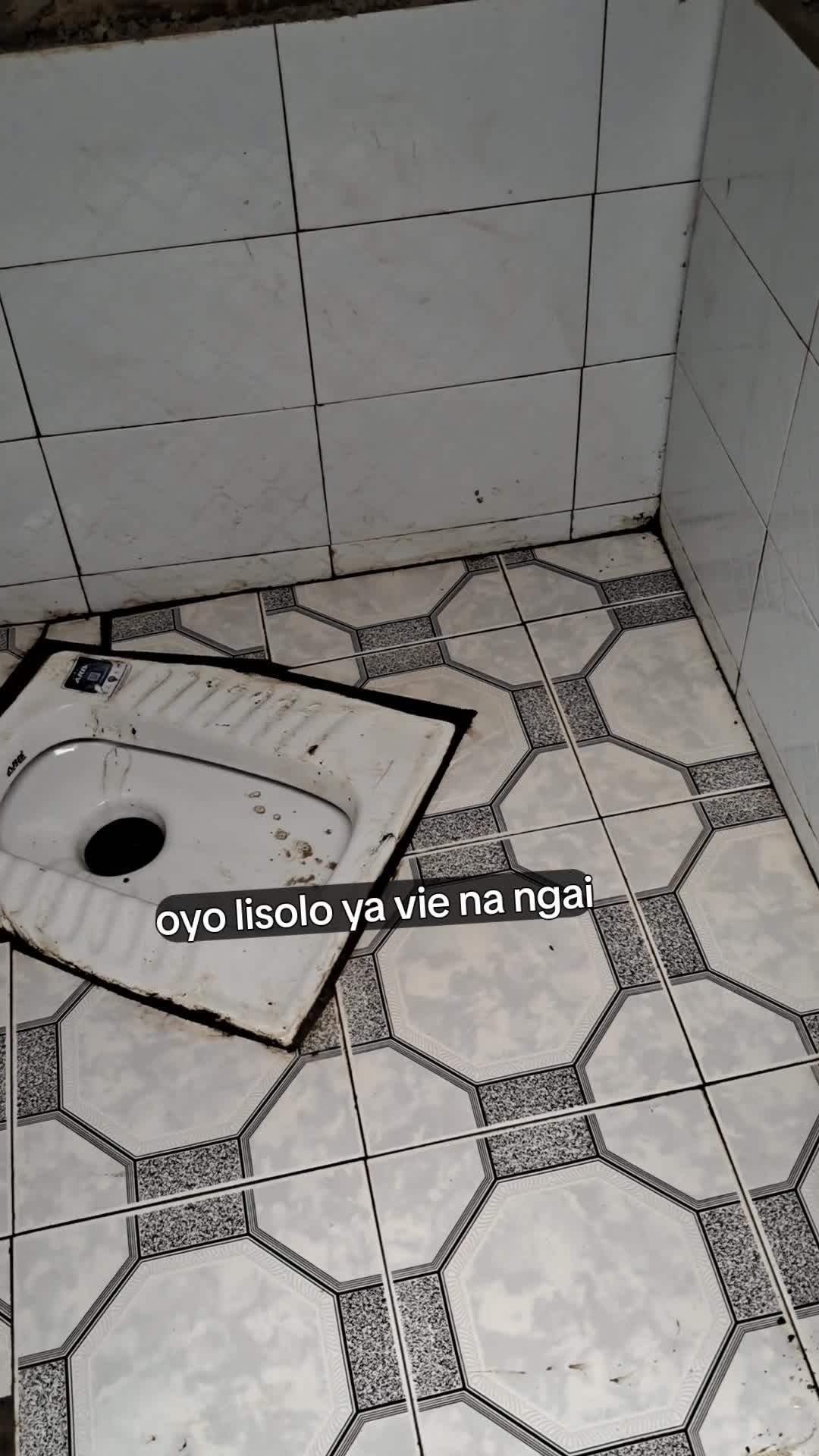 @D̑̈.H̑̈Ȏ̈Ȓ̈D̑̈Ȋ̈ D̑̈Ȇ̈